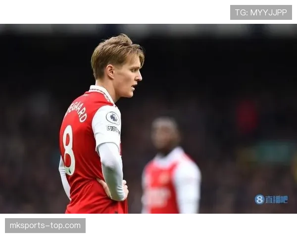 厄德高强强对话表现稳定性解析